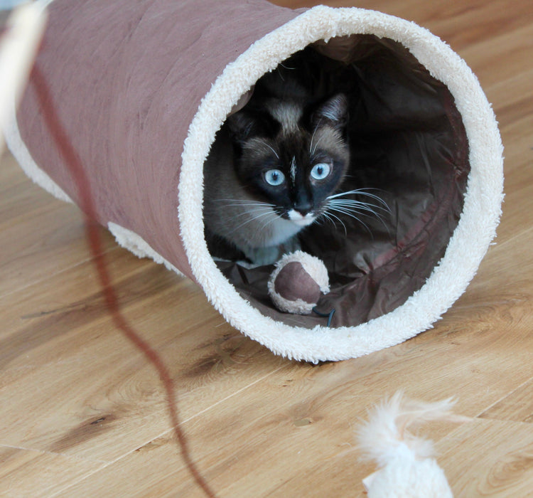 Tous Nos Produits Chat