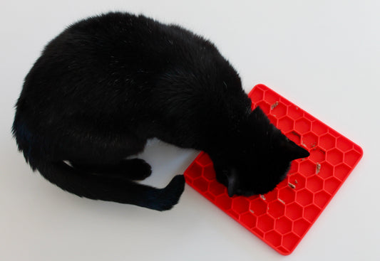 Tapis de Léchage Nid d'Abeille pour Chien & Chat - Rouge