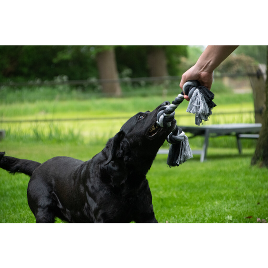 Corde DentaCool - Ultra-Tressée à 3 nœuds 55 cm