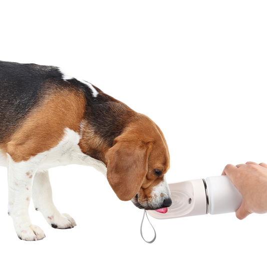 La Soif de l’Aventure – Gourde Isotherme 2-en-1 💧