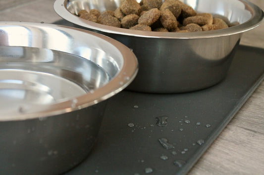 Tapis Anti-Renversement en Silicone - Taille M - Propreté & Confort