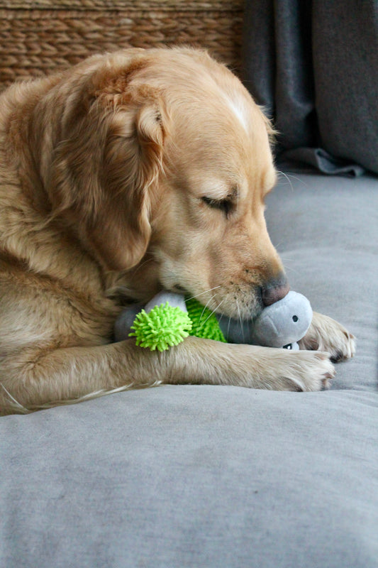 Maya la Girafe - les Doudous Fuzzle