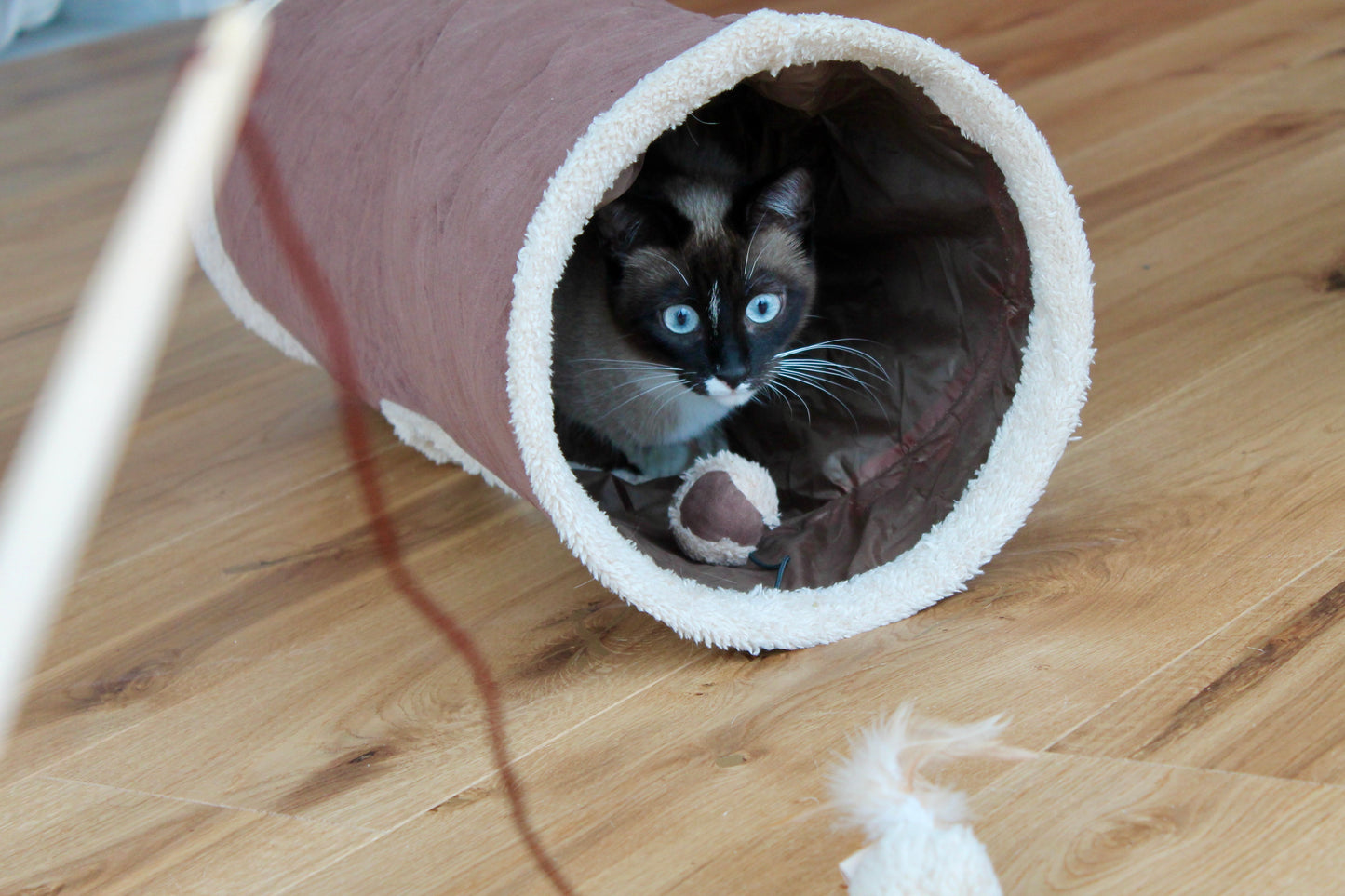 Tunnel Cache-Cache Cocoon