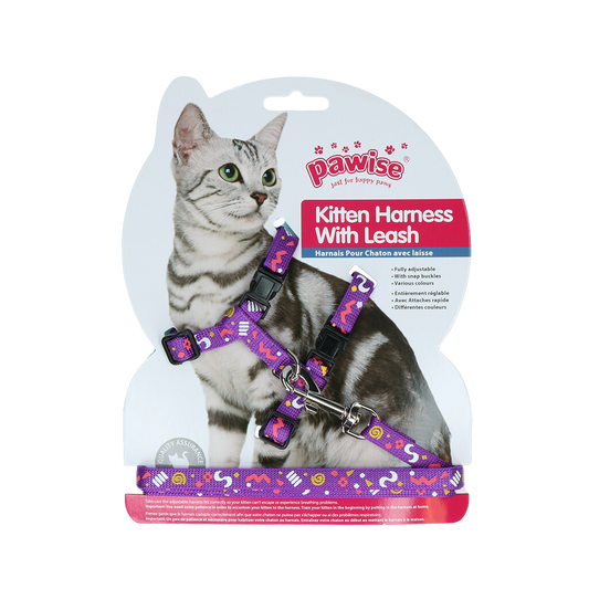 Harnais avec laisse pour Chaton – Liberté et sécurité en balade – Rose & Violet