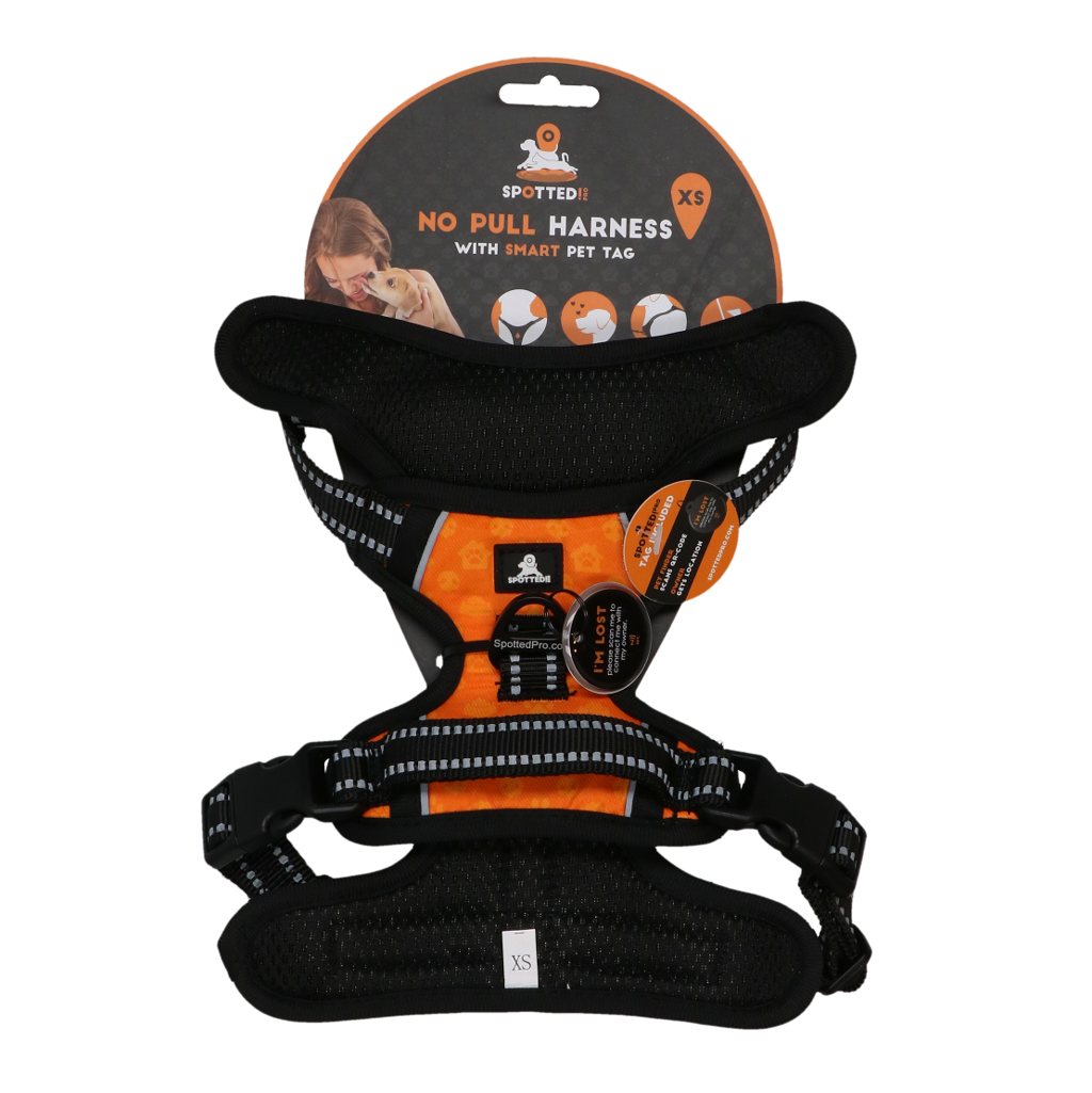 Lot Harnais Orange + Laisse Spotted! Pro