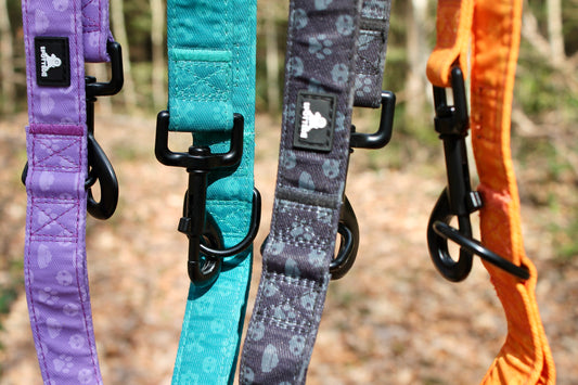 Laisse 120cm Spotted! Pro