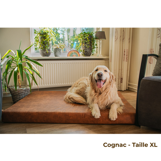 Matelas Orthopédique Grand Sommeil – Anthracite – Confort et Bien-Être en 3 Tailles 💤