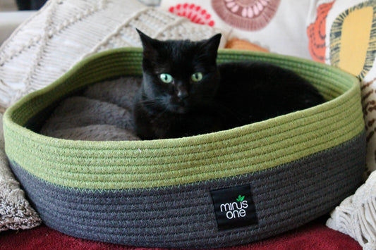 Kit Adoption Chat/Chaton - Minimaliste & 100% Éco-Responsable ♻️ 🌿 ✨