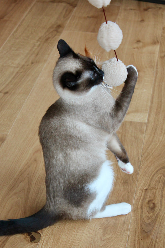 Canne Trio Frénétique - Canne à pêche pour Chat