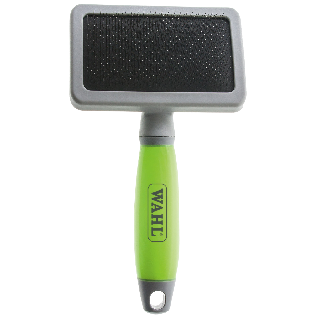 Duo de Brosses Essentielles - LâAir Au Poil par Excellence đ