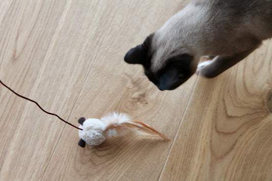 Canne à Souris Volante avec Plume - Canne à pêche pour Chat
