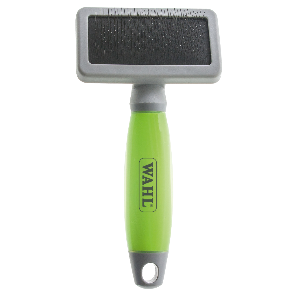 Duo de Brosses Essentielles - LâAir Au Poil par Excellence đ