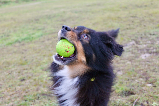 Balle Comète Poussières d'Étoile Taille S