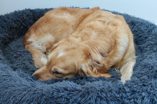 Coussin Donut - Cocon Nuage XXL