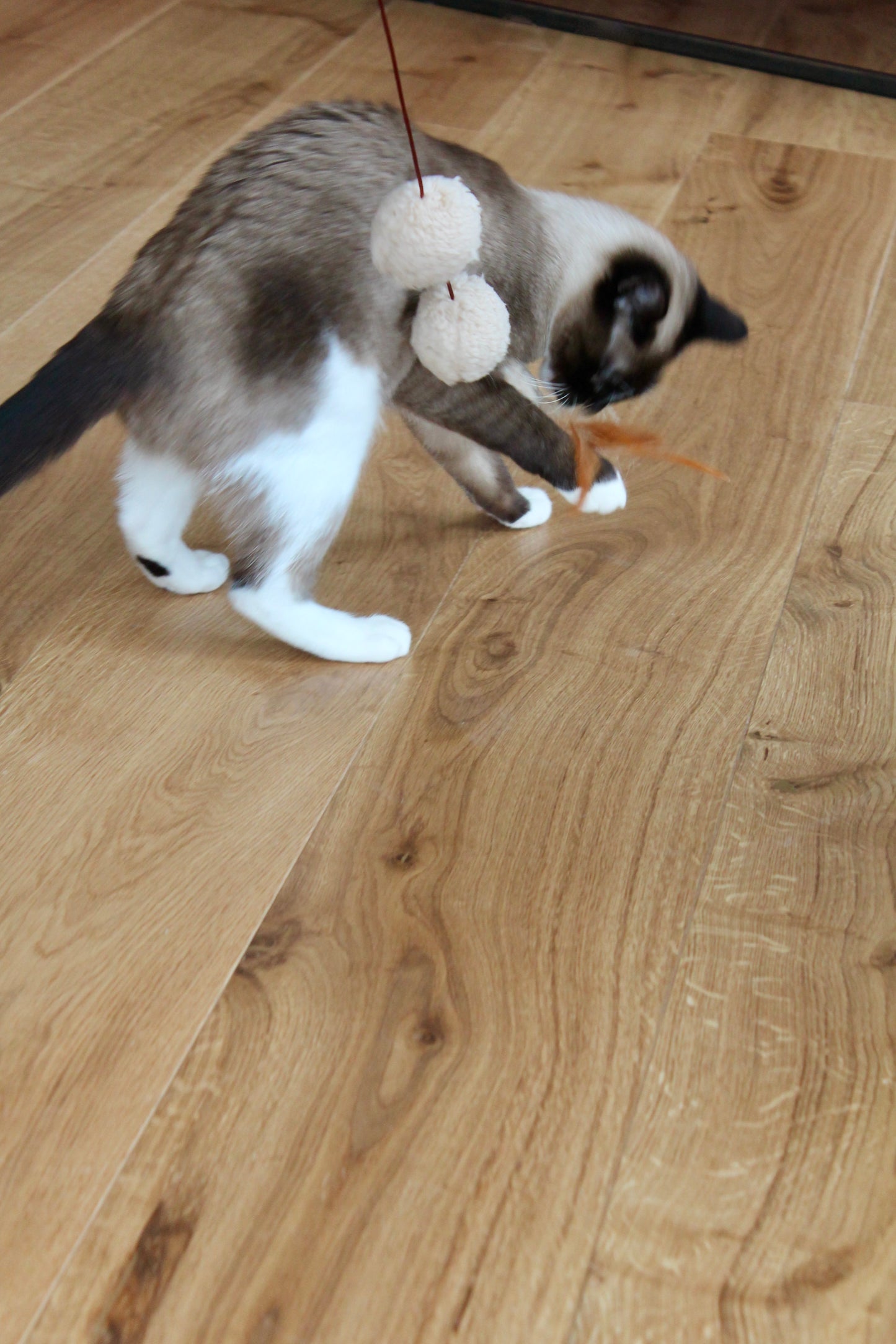 Canne Trio Frénétique - Canne à pêche pour Chat