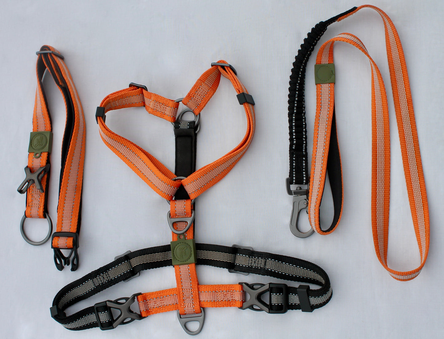 Kit Strong Adventure : Harnais + Collier + Laisse Amortisseur â Mandarine đđ