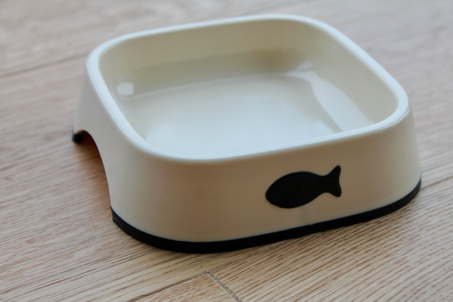 Kit Adoption Chat/Chaton - Minimaliste & 100% Éco-Responsable ♻️ 🌿 ✨
