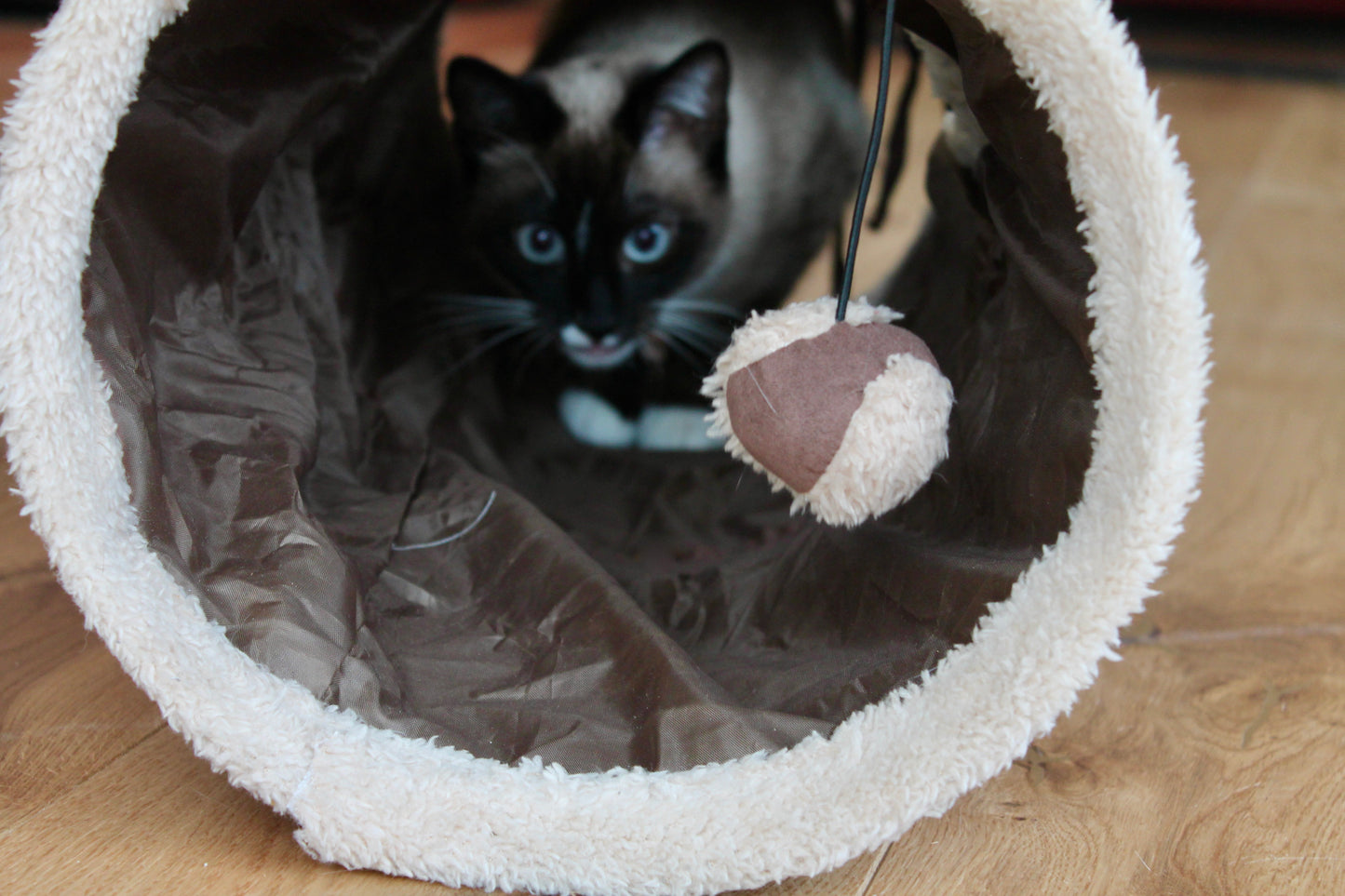 Tunnel Cache-Cache Cocoon