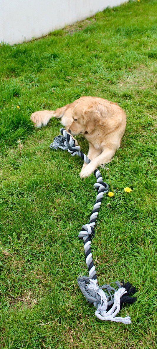 Corde DentaCool - Ultra-tressée à 5 nœuds 145cm & 185cm