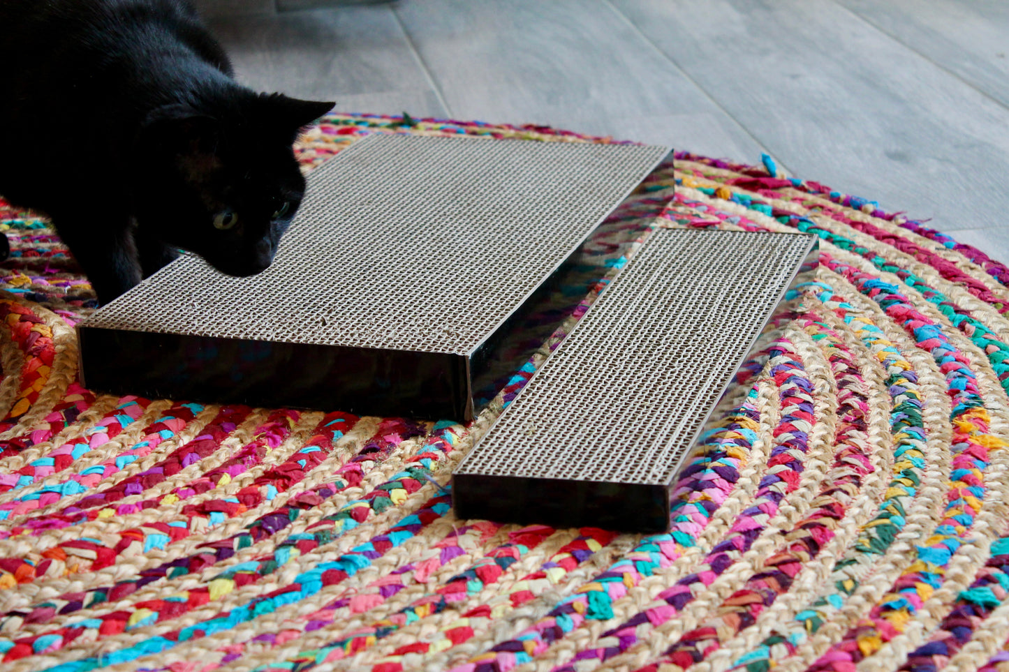Le Kit Cocon du Chat đ