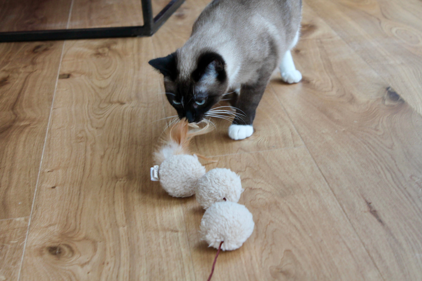 Canne Trio Frénétique - Canne à pêche pour Chat