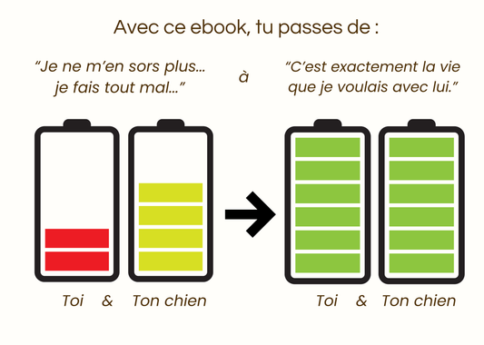 Ebook : Chien et Charge Mentale - De la culpabilité au plaisir retrouvé !