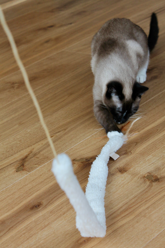 Canne Douceur - Canne à pêche pour Chat