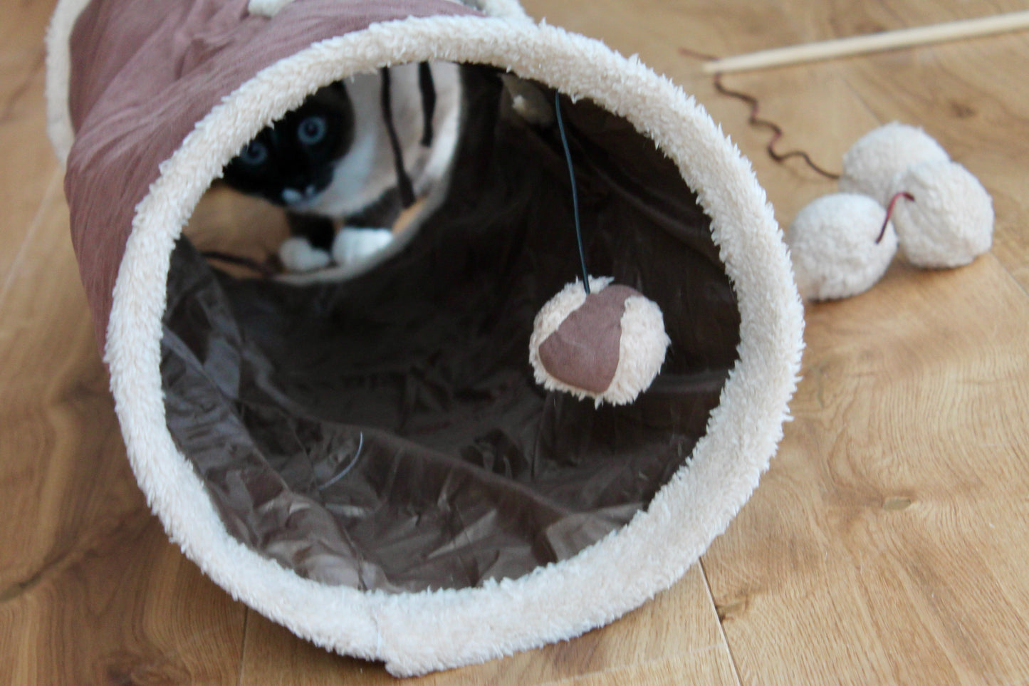Tunnel Cache-Cache Cocoon