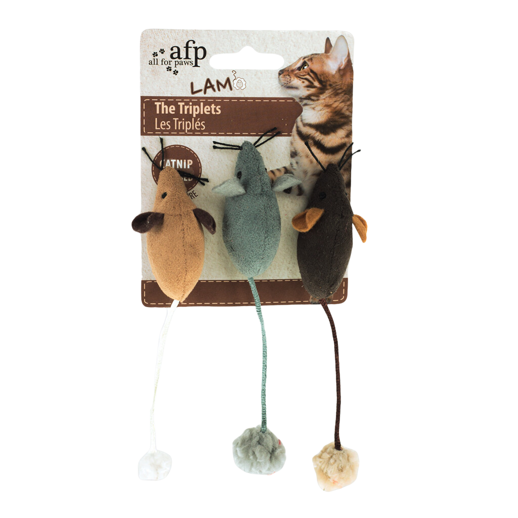 Le Kit Cocon du Chat đ
