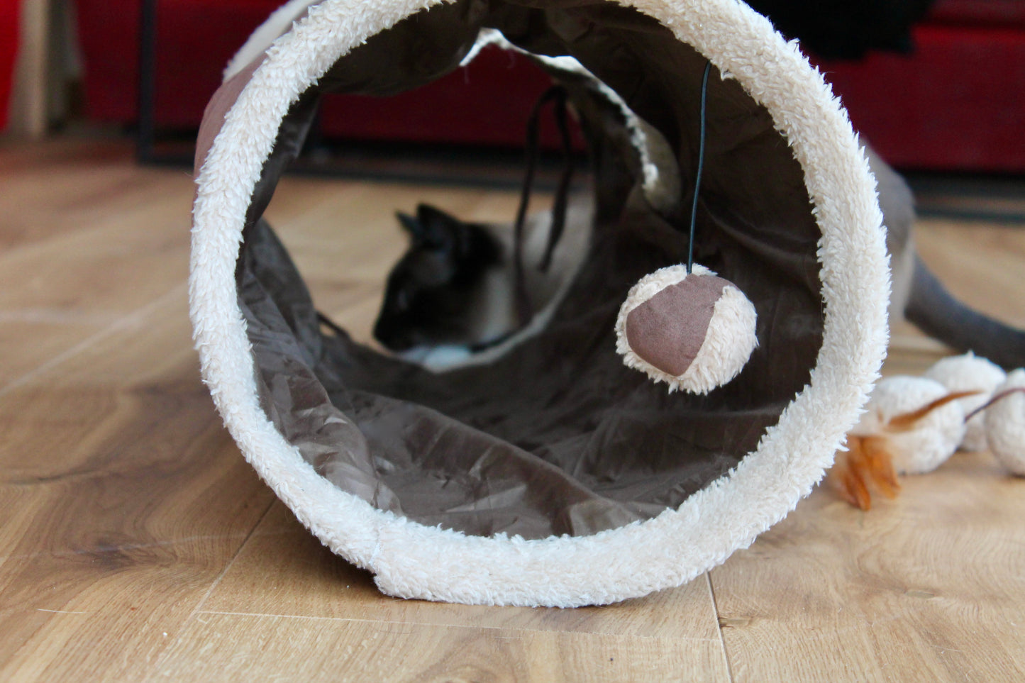 Le Kit Cocon du Chat đ