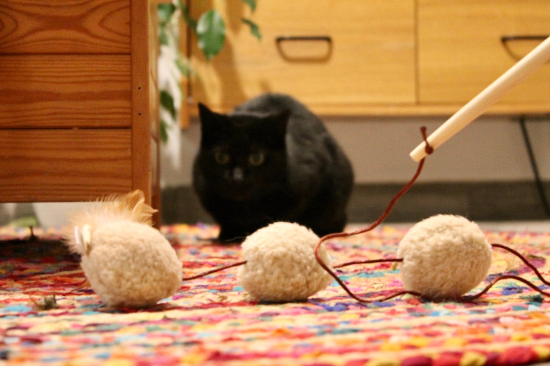 Canne Trio Frénétique - Canne à pêche pour Chat