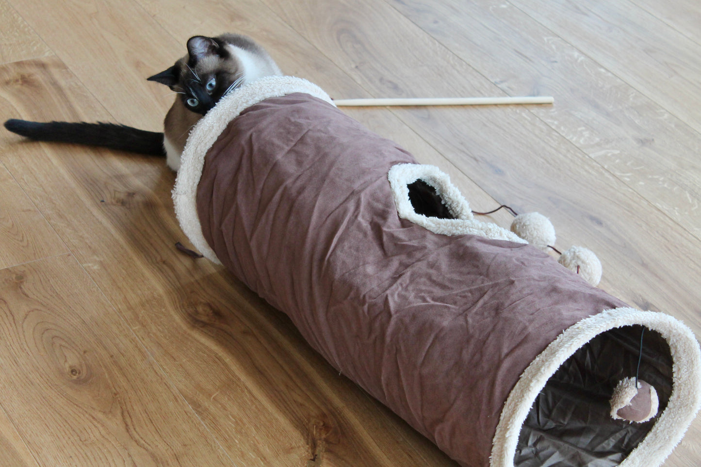 Tunnel Cache-Cache Cocoon