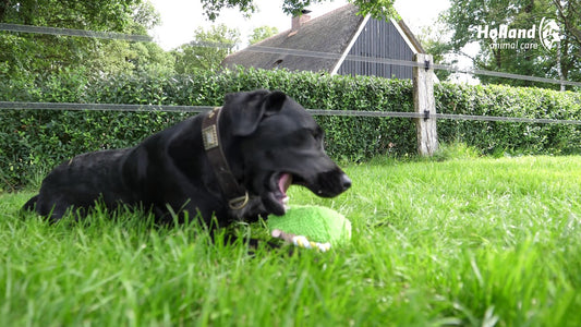 Eliott le Hérisson - les Doudous Fuzzle