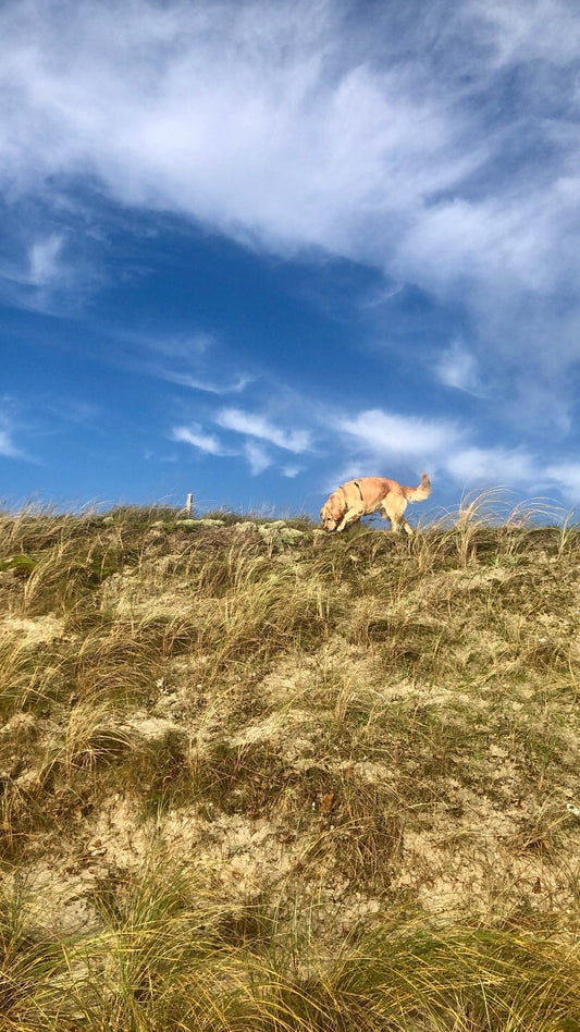 J’ai l’impression d’en faire un sport !