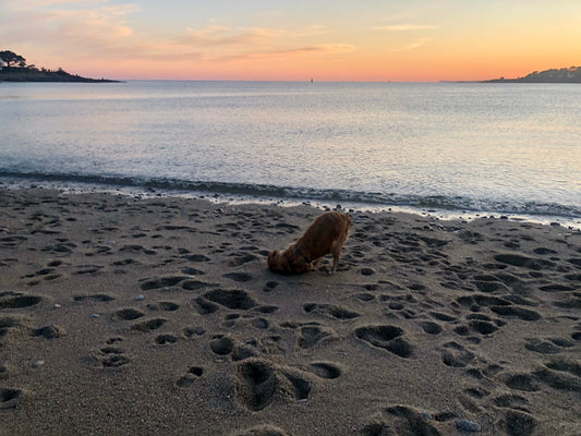 Une évidence s’est imposée (2026, j'arrive!)