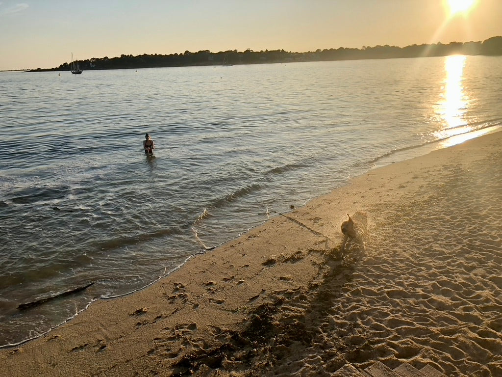 Notre vie d'été me manque