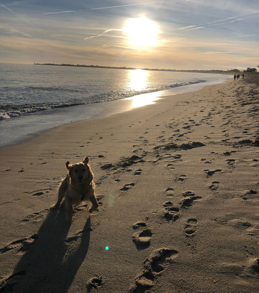 J’ai plein de projets à lancer (Victoire 2026 💪)