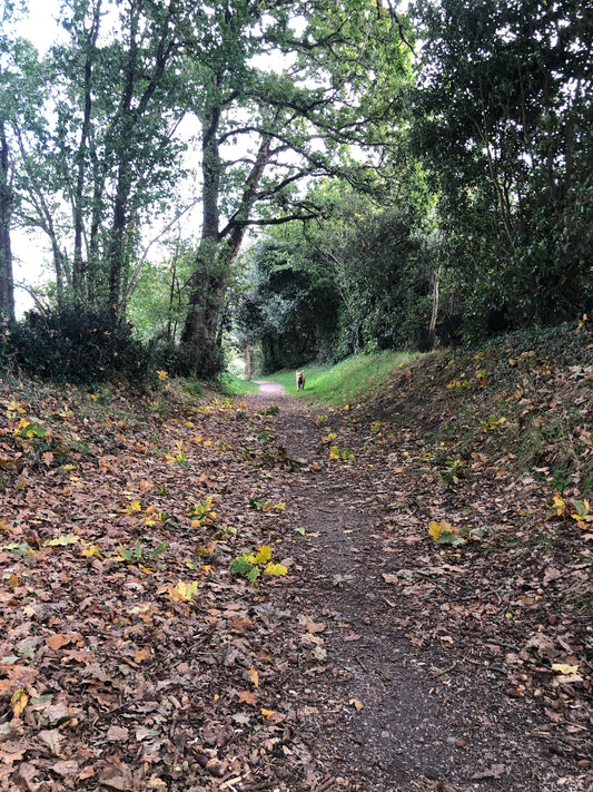 Un élément PERTURBATEUR dans notre quotidien ?!?!