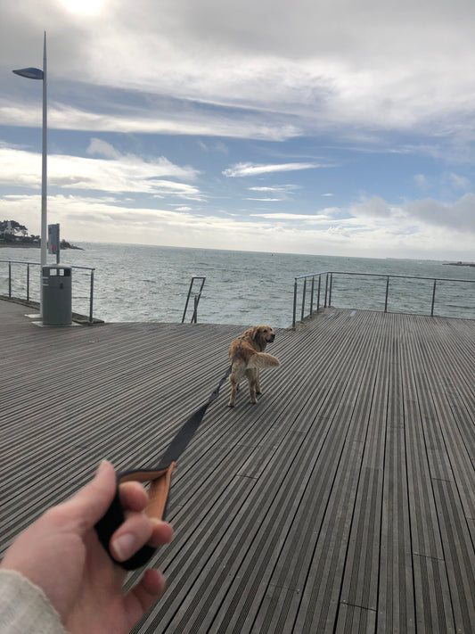 Toutes les nouveautés sont arrivées !