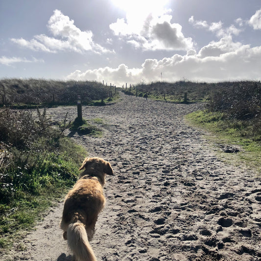 Je suis retournée sur les pas de l’enfance de Belle... 💛