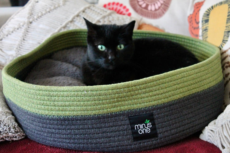 Collection Éco-Chat 🌿