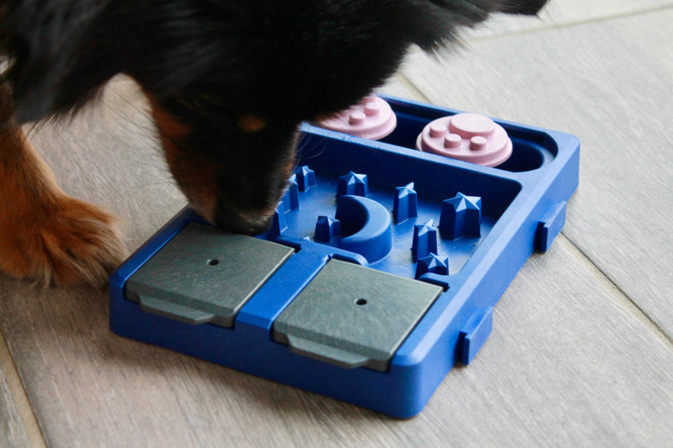 Mini Puzzles & Jeux d'intelligence