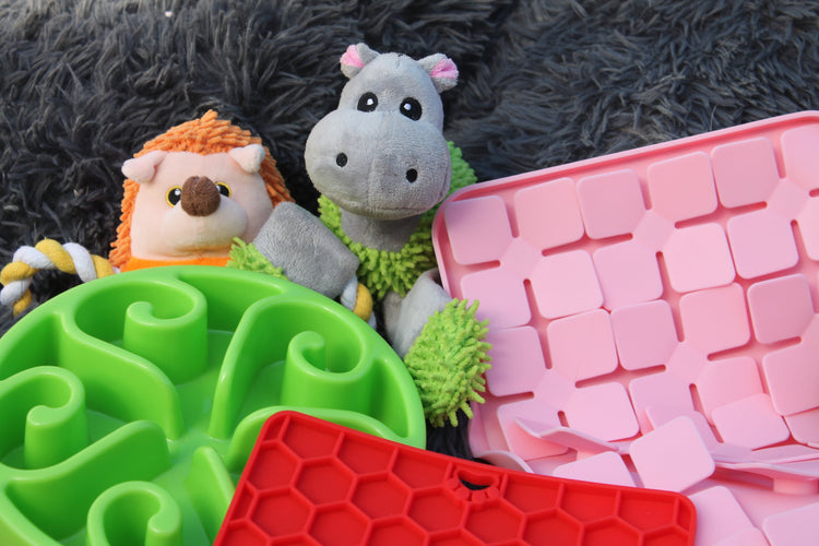 Nouveauté Hiver 2025