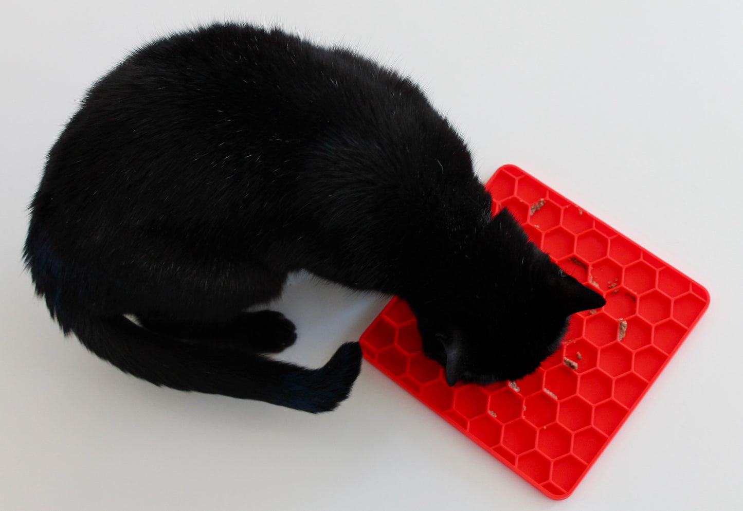 Tapis de Léchage Nid d'Abeille pour Chien & Chat - Bleu