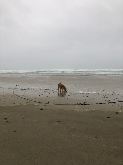 Longe d'Entraînement 5m, 10m, 15m