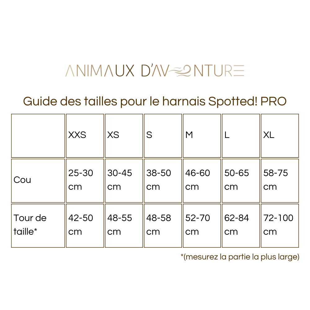 Harnais Spotted! Pro Anti-Traction Gris foncé