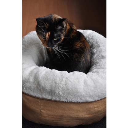 Le Cocon du Chat 🐈