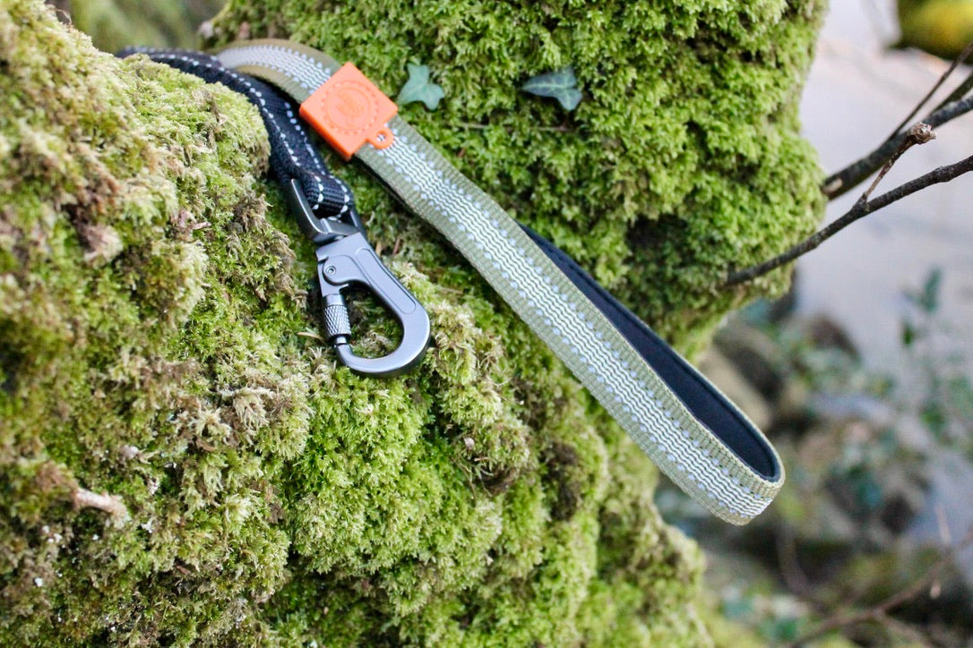 Kit Strong Adventure : Harnais + Collier + Laisse Amortisseur – Vert Olive 🌳