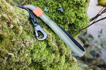 Kit Strong Adventure : Harnais + Collier + Laisse Amortisseur – Vert Olive 🌳