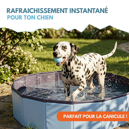 L'Oasis de Fraîcheur - PISCINE pour chien en taille M